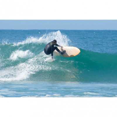 WoodKit PRO Retro Fish iPaulownia - David Weber Series