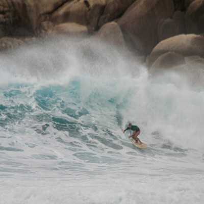 Jiantou WoodKit PRO iPaulownia - David Weber Series Jiantou WoodKit PRO iPaulownia - David Weber Series