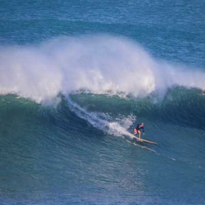 Jiantou WoodKit PRO iPaulownia - David Weber Series Jiantou WoodKit PRO iPaulownia - David Weber Series